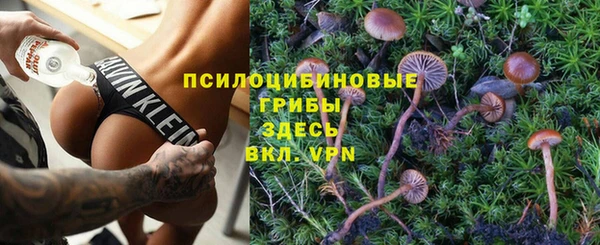 индика Алзамай