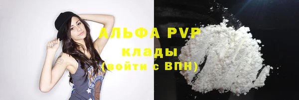 стаф Алексин