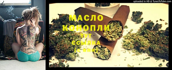 прущие грибы Абаза