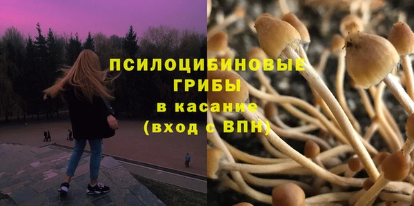 мдпв Абдулино