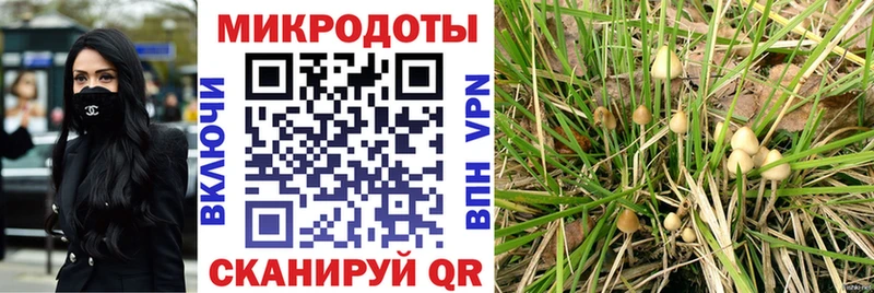 Псилоцибиновые грибы прущие грибы  хочу наркоту  Катав-Ивановск 